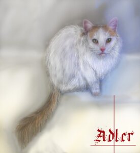 Rating: Safe Score: 0 Tags: abstract_background adler_(mastersdoggy) ambiguous_gender domestic_cat e621 felid feline felis feral german_text gradient_background green_eyes looking_at_viewer mammal mastersdoggy simple_background solo tail text translated whiskers User: bunchy7s Rating: Safe Score: 0 Tags: abstract_background adler_(mastersdoggy) ambiguous_gender domestic_cat e621 felid feline felis feral german_text gradient_background green_eyes looking_at_viewer mammal mastersdoggy simple_background solo tail text translated whiskers User: bunchy7s