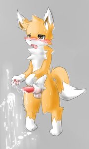 Rating: Explicit Score: 0 Tags: 1boy balls canine cum green_eyes male male_only masturbation penis plain_background pvt._keron rule34 solo tongue tongue_out User: bunchy7s Rating: Explicit Score: 0 Tags: 1boy balls canine cum green_eyes male male_only masturbation penis plain_background pvt._keron rule34 solo tongue tongue_out User: bunchy7s
