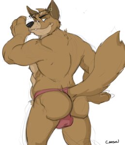 Rating: Questionable Score: 0 Tags: 2014 anthro biceps big_butt biped brown_body brown_fur bulge butt canid canine canis canson clothed clothing e621 ear_piercing eyewear fangs fur glasses grin jockstrap looking_at_viewer looking_back male mammal muscular muscular_anthro muscular_male nipples pecs piercing rear_view simple_background slightly_chubby smile solo standing teeth thong topless underwear white_background wolf User: bunchy7s