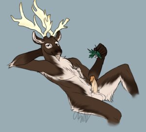 Rating: Explicit Score: 0 Tags: anthro antlers armpit_hair balls body_hair cartoonlion chest_tuft deer e621 erection facial_hair fur genitals goatee horn humanoid_genitalia humanoid_penis kissing_bough looking_at_viewer male mammal mistletoe new_world_deer nude penis plant reclining reindeer smile solo suggestive tuft User: bunchy7s