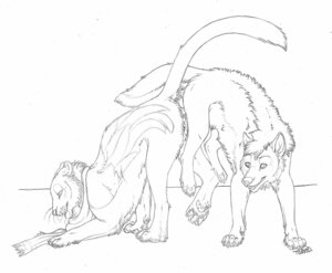 Rating: Explicit Score: 0 Tags: ass_up black_and_white canid canine canis duo e621 felid female female_penetrated feral genitals knot knotting male male/female male_penetrating male_penetrating_female mammal monochrome nude penetration penis quadruped scarf sex simple_background sketch tail toradoshi white_background wolf User: bunchy7s