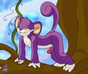 Rating: Explicit Score: 0 Tags: 3_toes 4_fingers all_fours anthro bluepawpanda branch buckteeth claws day e621 erection feet fingers fur generation_1_pokemon genitals humanoid_genitalia humanoid_penis in_tree looking_aside looking_at_viewer male mammal nintendo on_branch outside penis plant pokemon pokemon_(species) pokemorph purple_body purple_fur raised_tail rattata red_eyes rodent side_view sky smile solo tail teeth toes tree whiskers white_body white_fur User: bunchy7s Rating: Explicit Score: 0 Tags: 3_toes 4_fingers all_fours anthro bluepawpanda branch buckteeth claws day e621 erection feet fingers fur generation_1_pokemon genitals humanoid_genitalia humanoid_penis in_tree looking_aside looking_at_viewer male mammal nintendo on_branch outside penis plant pokemon pokemon_(species) pokemorph purple_body purple_fur raised_tail rattata red_eyes rodent side_view sky smile solo tail teeth toes tree whiskers white_body white_fur User: bunchy7s