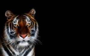 Rating: Safe Score: 0 Tags: 16:10 abstract_art amber_eyes ambiguous_gender black_background e621 felid glowing looking_at_viewer mammal pantherine simple_background solo stripes tiger unknown_artist wallpaper whiskers widescreen User: bunchy7s Rating: Safe Score: 0 Tags: 16:10 abstract_art amber_eyes ambiguous_gender black_background e621 felid glowing looking_at_viewer mammal pantherine simple_background solo stripes tiger unknown_artist wallpaper whiskers widescreen User: bunchy7s