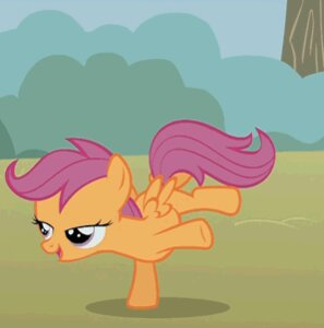 Rating: Safe Score: 0 Tags: animated animated_gif e621 equid equine feathered_wings feathers female feral friendship_is_magic grandfathered_content hasbro keyboard_instrument low_res mammal meme musical_instrument my_little_pony mythological_creature mythological_equine mythology orange_body orange_feathers pegasus piano purple_eyes quadruped scootaloo_(mlp) short_playtime solo tail unknown_artist upright_piano wings young young_female young_feral User: bunchy7s Rating: Safe Score: 0 Tags: animated animated_gif e621 equid equine feathered_wings feathers female feral friendship_is_magic grandfathered_content hasbro keyboard_instrument low_res mammal meme musical_instrument my_little_pony mythological_creature mythological_equine mythology orange_body orange_feathers pegasus piano purple_eyes quadruped scootaloo_(mlp) short_playtime solo tail unknown_artist upright_piano wings young young_female young_feral User: bunchy7s