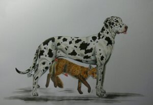 Rating: Explicit Score: 0 Tags: 2011 all_fours anal anal_knotting anal_penetration animal_genitalia animal_penis canid canine canine_genitalia canine_penis canis cock_hanging doggystyle domestic_dog dominant duo e621 erection feral feral_on_feral fox from_behind_position genitals great_dane interspecies knot_hanging knotting larger_dom larger_male male male/male male_penetrated male_penetrating male_penetrating_male mammal mastiff mixxiwuff molosser penetration penis penis_tip quadruped sex sheath size_difference smaller_male spots tail tongue tongue_out User: bunchy7s Rating: Explicit Score: 0 Tags: 2011 all_fours anal anal_knotting anal_penetration animal_genitalia animal_penis canid canine canine_genitalia canine_penis canis cock_hanging doggystyle domestic_dog dominant duo e621 erection feral feral_on_feral fox from_behind_position genitals great_dane interspecies knot_hanging knotting larger_dom larger_male male male/male male_penetrated male_penetrating male_penetrating_male mammal mastiff mixxiwuff molosser penetration penis penis_tip quadruped sex sheath size_difference smaller_male spots tail tongue tongue_out User: bunchy7s