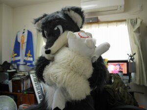 Rating: Safe Score: 0 Tags: amaterasu_(okami) ambiguous_gender anthro canid canine canis capcom clothing clover_studio costume deity duo e621 electric_fan feral fox fur fursuit grandfathered_content hug keyboard mammal musical_instrument netiel okami_(capcom) oscillating_fan photography_(artwork) plushie real white_body white_fur wolf User: bunchy7s