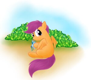 Rating: Safe Score: 0 Tags: 2011 blue_body e621 equid equine feathered_wings feathers female feral friendship_is_magic fur grumblepluck hair hasbro mammal multicolored_hair my_little_pony mythological_creature mythological_equine mythology orange_body orange_feathers orange_fur pegasus plant plushie purple_eyes purple_hair rainbow_dash_(mlp) rainbow_hair scootaloo_(mlp) shrub simple_background solo wings young young_feral User: bunchy7s