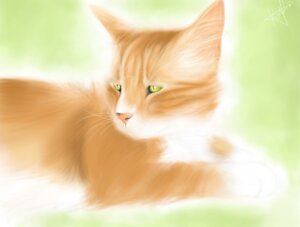 Rating: Safe Score: 0 Tags: digital_media_(artwork) digital_painting_(artwork) domestic_cat e621 felid feline felis feral fluffy green_eyes half-length_portrait lexii_(artist) lying male mammal on_front painting_(artwork) portrait quadruped relaxing side_view soft_focus solo whiskers User: bunchy7s
