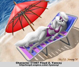 Rating: Safe Score: 0 Tags: 1997 3d_(artwork) alisha_fox anthro beach beach_umbrella bikini canid canine clothed clothing detailed_background digital_media_(artwork) digital_painting_(artwork) e621 english_text female floyd_yancey fox fur hair high-angle_view looking_at_viewer mammal mixed_media outside painting_(artwork) parasol sand seaside skimpy solo swimwear tail text tight_clothing two-piece_swimsuit url water white_body white_fur white_hair User: bunchy7s