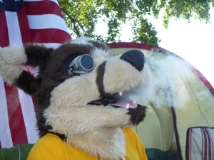 Rating: Safe Score: 0 Tags: ambiguous_gender anthro canid canine canis clothing costume coyote drugs e621 fursuit grandfathered_content hookah mammal merkindesr real smoking solo User: bunchy7s