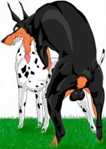 Rating: Explicit Score: 0 Tags: balls canid canine canis dalmatian dobermann domestic_dog duo e621 female feral feral_on_feral genitals grass klaus_doberman low_res male male/female mammal pinscher plant sex teeth tongue tongue_out User: bunchy7s Rating: Explicit Score: 0 Tags: balls canid canine canis dalmatian dobermann domestic_dog duo e621 female feral feral_on_feral genitals grass klaus_doberman low_res male male/female mammal pinscher plant sex teeth tongue tongue_out User: bunchy7s
