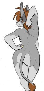 Rating: Questionable Score: 0 Tags: 2007 anthro asinus brown_hair butt donkey e621 equid equine female fur grey_body grey_fur hair hand_behind_head hand_on_hip long_ears looking_back mammal nude pinup pose rear_view sarcy sarcy_(character) short_hair simple_background slightly_chubby smile solo stretching tail tail_tuft tuft white_background User: bunchy7s Rating: Questionable Score: 0 Tags: 2007 anthro asinus brown_hair butt donkey e621 equid equine female fur grey_body grey_fur hair hand_behind_head hand_on_hip long_ears looking_back mammal nude pinup pose rear_view sarcy sarcy_(character) short_hair simple_background slightly_chubby smile solo stretching tail tail_tuft tuft white_background User: bunchy7s