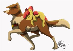 Rating: Safe Score: 0 Tags: 2011 accessory apple_bloom_(mlp) bow_(feature) bow_accessory bow_ribbon canid canine canis child collar digitigrade domestic_dog duo e621 earth_pony equid equine eyes_closed female feral friendship_is_magic hair hair_accessory hair_bow hair_ribbon hasbro horse mammal my_little_pony pony quadruped red_hair ribbons riding size_difference sleeping smile tail thecynicalhound winona_(mlp) young young_feral User: bunchy7s
