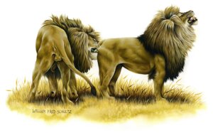Rating: Explicit Score: 0 Tags: anatomically_correct animal_genitalia balls butt_sniffing duo e621 english_text eyes_closed felid feral feral_on_feral fur genitals lion male male/male mammal mane nose_to_anus open_mouth outside pantherine realistic realistic_feral simple_background sniffing tail tail_tuft teeth text tongue tuft white_background william_fred_shultz User: bunchy7s Rating: Explicit Score: 0 Tags: anatomically_correct animal_genitalia balls butt_sniffing duo e621 english_text eyes_closed felid feral feral_on_feral fur genitals lion male male/male mammal mane nose_to_anus open_mouth outside pantherine realistic realistic_feral simple_background sniffing tail tail_tuft teeth text tongue tuft white_background william_fred_shultz User: bunchy7s