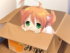 Rating: Safe Score: 0 Tags: 4:3 adoption_box ahoge animal_humanoid box box_of_cuteness canid canid_humanoid canine canine_humanoid canis cardboard cardboard_box clothed clothing container cotora detailed_background dog_humanoid dog_tail e621 female fur game_cg grandfathered_content green_eyes hair humanoid if_it_fits_i_sits_(meme) in_box in_container looking_at_viewer looking_up mammal mammal_humanoid meme mikan_(wanko) orange_body orange_fur orange_hair orange_tail short_hair solo tail wanko_to_kurasou User: bunchy7s
