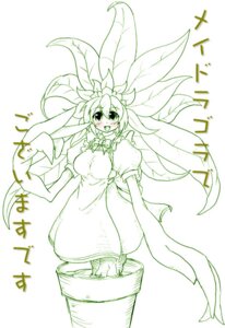 Rating: Questionable Score: 0 Tags: blush clothed clothing e621 female humanoid japanese_text looking_at_viewer maid_ragora monochrome plant plant_pot simple_background smile solo text translated unknown_artist white_background User: bunchy7s Rating: Questionable Score: 0 Tags: blush clothed clothing e621 female humanoid japanese_text looking_at_viewer maid_ragora monochrome plant plant_pot simple_background smile solo text translated unknown_artist white_background User: bunchy7s