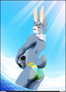 Rating: Safe Score: 0 Tags: 2013 absurd_res anthro ball biped blue_body blue_eyes blue_fur blue_hair buckteeth buster_(shiuk) butt clothed clothing cloud detailed_background e621 fur hair hi_res holding_ball holding_object lagomorph leporid looking_at_viewer looking_back male mammal open_mouth outside rabbit sea seascape shiuk short_hair skimpy sky soccer_ball solo speedo standing swimwear teeth topless water white_body white_fur User: bunchy7s Rating: Safe Score: 0 Tags: 2013 absurd_res anthro ball biped blue_body blue_eyes blue_fur blue_hair buckteeth buster_(shiuk) butt clothed clothing cloud detailed_background e621 fur hair hi_res holding_ball holding_object lagomorph leporid looking_at_viewer looking_back male mammal open_mouth outside rabbit sea seascape shiuk short_hair skimpy sky soccer_ball solo speedo standing swimwear teeth topless water white_body white_fur User: bunchy7s