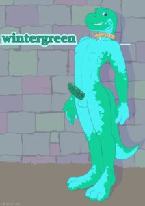 Rating: Explicit Score: 0 Tags: anthro balls blue_eyes collar compfive countershading e621 erection genitals humanoid_genitalia humanoid_penis lizard male non-mammal_balls penis reptile scalie solo tail User: bunchy7s