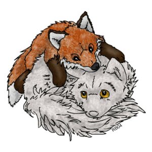 Rating: Safe Score: 0 Tags: 1:1 ambiguous_gender black_nose brown_eyes canid canine duo e621 feral fluffy fluffy_tail fox fur gloves_(marking) leg_markings low_res mammal markings orange_body orange_fur plushie racie simple_background socks_(marking) tail white_background white_body white_fur white_nose yellow_eyes User: bunchy7s