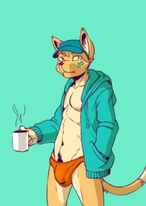 Rating: Questionable Score: 0 Tags: anthro body_hair briefs clothing coffee_mug container cup domestic_cat e621 felid feline felis furgonomics happy_trail hat headgear headwear holding_container holding_cup holding_object hoodie male mammal pubes seaside_(artist) simple_background solo speedo swimwear topwear underwear User: bunchy7s