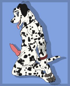 Rating: Explicit Score: 0 Tags: 2011 anthro bdsm black_body black_fur black_spots bondage bound canid canine canis dalmatian domestic_dog e621 erection fur genitals hands_behind_back knot lonewolf666 male mammal markings nude penis rope solo spots spotted_body spotted_fur submissive submissive_male tail tongue white_body white_fur User: bunchy7s