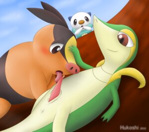 Rating: Explicit Score: 0 Tags: ambiguous_gender feral hukoshi male nintendo oshawott pokemon pokemon_(species) rule34 snivy tepig User: bunchy7s Rating: Explicit Score: 0 Tags: ambiguous_gender feral hukoshi male nintendo oshawott pokemon pokemon_(species) rule34 snivy tepig User: bunchy7s
