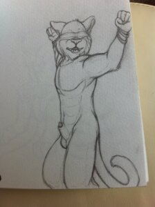 Rating: Explicit Score: 0 Tags: animal_genitalia anthro bdsm black_and_white bondage bound e621 felid genitals hi_res male mammal monochrome nude pantherine penile_spines penis penis_tip sheath sketch sketchkat solo submissive submissive_male tail tiger User: bunchy7s