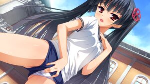 Rating: Explicit Score: 0 Tags: black_hair blush female fingering game_cg gym_uniform kobuichi masamune_shizuru noble_works panties red_eyes rule34 tied_hair twintails underwear User: bunchy7s