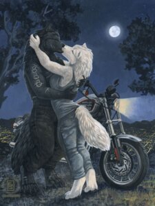 Rating: Safe Score: 0 Tags: 2008 anthro canid canine canis city cityscape clothed clothing cool_colors detailed_background duo e621 eyes_closed female full_moon harley_davidson headlight kacey kissing love male male/female mammal moon motorcycle night outside painting_(artwork) plant romantic romantic_ambiance romantic_couple scenery scenic_view size_difference sky sportster standing star starry_sky tail traditional_media_(artwork) tree vehicle wolf User: bunchy7s