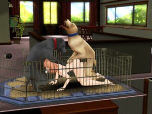 Rating: Explicit Score: 0 Tags: 3d female rule34 tagme zoophilia User: bunchy7s Rating: Explicit Score: 0 Tags: 3d female rule34 tagme zoophilia User: bunchy7s
