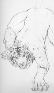 Rating: Safe Score: 0 Tags: anthro claws detailed e621 felid fur greyscale hi_res looking_at_viewer male mammal monochrome muscular muscular_anthro muscular_male negy nude pantherine scar sketch solo tiger unfinished whiskers User: bunchy7s Rating: Safe Score: 0 Tags: anthro claws detailed e621 felid fur greyscale hi_res looking_at_viewer male mammal monochrome muscular muscular_anthro muscular_male negy nude pantherine scar sketch solo tiger unfinished whiskers User: bunchy7s