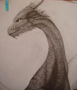 Rating: Safe Score: 0 Tags: dragon e621 female feral inheritance_cycle mythological_creature mythological_scalie mythology saphira scalie sketch solo unknown_artist wings User: bunchy7s Rating: Safe Score: 0 Tags: dragon e621 female feral inheritance_cycle mythological_creature mythological_scalie mythology saphira scalie sketch solo unknown_artist wings User: bunchy7s