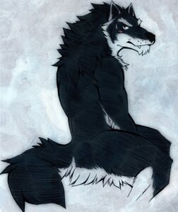 Rating: Safe Score: 0 Tags: abstract_background aluminemsiren anthro biceps black_body black_fur black_nose blush canid canine canis countershading e621 fangs fur looking_at_viewer looking_back male mammal muscular muscular_anthro muscular_male nude orion_(aluminemsiren) simple_background solo tail teeth white_body white_fur wolf User: bunchy7s Rating: Safe Score: 0 Tags: abstract_background aluminemsiren anthro biceps black_body black_fur black_nose blush canid canine canis countershading e621 fangs fur looking_at_viewer looking_back male mammal muscular muscular_anthro muscular_male nude orion_(aluminemsiren) simple_background solo tail teeth white_body white_fur wolf User: bunchy7s