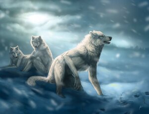 Rating: Safe Score: 0 Tags: ambiguous_gender canid canine canis cool_colors crouching e621 footprint group johis kneeling mammal outside sitting snow tail werewolf_calendar wolf yellow_eyes User: bunchy7s Rating: Safe Score: 0 Tags: ambiguous_gender canid canine canis cool_colors crouching e621 footprint group johis kneeling mammal outside sitting snow tail werewolf_calendar wolf yellow_eyes User: bunchy7s