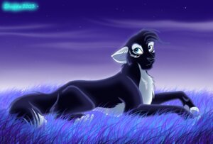 Rating: Safe Score: 0 Tags: 2009 black_body black_fur blue_eyes canid canine canis e621 feet female feral fur grass heterochromia looking_aside looking_at_viewer lying mammal night nude on_front outside plant quadruped shayde_(artist) shayde_fantasy side_view sky solo star starry_sky tail toeless_(marking) toony white_body white_fur wolf User: bunchy7s Rating: Safe Score: 0 Tags: 2009 black_body black_fur blue_eyes canid canine canis e621 feet female feral fur grass heterochromia looking_aside looking_at_viewer lying mammal night nude on_front outside plant quadruped shayde_(artist) shayde_fantasy side_view sky solo star starry_sky tail toeless_(marking) toony white_body white_fur wolf User: bunchy7s
