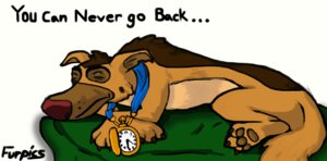 Rating: Safe Score: 0 Tags: 3_toes all_dogs_go_to_heaven barefoot bedding big_nose blanket brown_body brown_fur canid canine canis charlie_barkin claws clock domestic_dog don_bluth e621 english_text eyes_closed feet feral fur furpics german_shepherd herding_dog lying male mammal nude on_front pastoral_dog pawpads side_view simple_background solo text toes watch white_background User: bunchy7s Rating: Safe Score: 0 Tags: 3_toes all_dogs_go_to_heaven barefoot bedding big_nose blanket brown_body brown_fur canid canine canis charlie_barkin claws clock domestic_dog don_bluth e621 english_text eyes_closed feet feral fur furpics german_shepherd herding_dog lying male mammal nude on_front pastoral_dog pawpads side_view simple_background solo text toes watch white_background User: bunchy7s