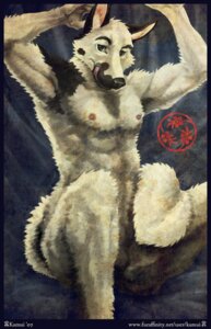 Rating: Explicit Score: 0 Tags: 2007 anthro armpit_hair balls biped body_hair canid canine canis domestic_dog e621 genitals green_eyes kamui_(artist) male mammal nipples nude penis sitting solo User: bunchy7s