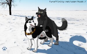 Rating: Explicit Score: 0 Tags: 16:10 2011 alaskan_malamute animal_genitalia balto_(series) blue_eyes brown_eyes canid canine canis digitigrade domestic_dog duo e621 feral feral_on_feral genitals husk. male male/male malwolf mammal nordic_sled_dog outside penis penis_tip sheath spitz steele_(balto) tail universal_studios widescreen wolf User: bunchy7s