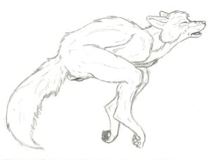 Rating: Explicit Score: 0 Tags: anthro canid canine curled_up e621 fox male mammal nude pain simple_background solo tail unknown_artist white_background User: bunchy7s Rating: Explicit Score: 0 Tags: anthro canid canine curled_up e621 fox male mammal nude pain simple_background solo tail unknown_artist white_background User: bunchy7s