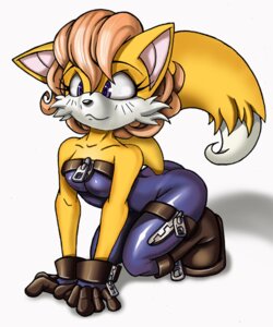 Rating: Safe Score: 0 Tags: anthro breasts canid canine cat_costume chadrocco clothing costume curly_hair dipstick_tail e621 female fox gloves hair handwear mammal markings simple_background solo tail tail_markings zipper User: bunchy7s