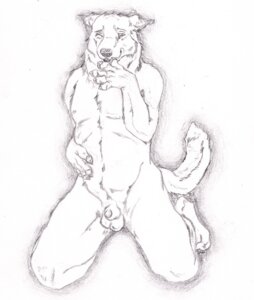 Rating: Explicit Score: 0 Tags: animal_genitalia anthro balls biped black_and_white black_nose canid canine claws e621 feet flaccid genitals hindpaw kneeling looking_at_viewer male mammal monochrome nipples nude one_eye_closed paws penis semiotica sheath simple_background smile solo tail User: bunchy7s