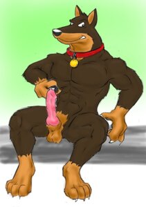 Rating: Explicit Score: 0 Tags: abs animal_genitalia animal_penis anthro balls biceps biped blitz_(road_rovers) brown_body brown_fur canid canine canine_genitalia canine_penis canis claws collar dobermann dog domestic_dog e621 erection front_view fur genitals knot looking_at_viewer male male_only mammal masturbation muscles muscular muscular_anthro muscular_male nude pecs penile penile_masturbation penis pinscher pointy_ears pose prick_ears road_rovers rule34 sheath sitting solo tagme toe_claws unknown_artist User: bunchy7s