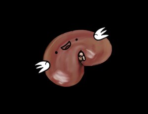 Rating: Safe Score: 0 Tags: ambiguous_gender e621 eris_anima feathered_wings feathers flying_kindey grandfathered_content kidney not_furry organs solo what wings User: bunchy7s