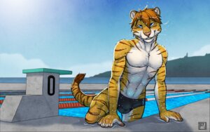 Rating: Explicit Score: 0 Tags: 16:10 2014 allegro anthro athletic balls_outline biceps bottomwear bulge clothed clothing detailed_bulge e621 felid fur genital_outline hair hybrid liger liglig lion looking_at_viewer male mammal markings muscular muscular_anthro muscular_male outside pantherine pecs sheath_outline skimpy sky slim solo speedo striped_markings striped_tail stripes swimming_pool swimwear swimwear_only tail tail_markings tight_bottomwear tight_clothing topless tsaiwolf water wet widescreen User: bunchy7s