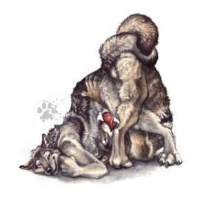 Rating: Explicit Score: 0 Tags: 2007 anal anal_sex ass ass_up balls blotch canine canine_penis contortion cum cum_inside fellatio furry furry_only gay knot male nude oral oral_sex penetration penis rule34 sex tied white_background wolf User: bunchy7s Rating: Explicit Score: 0 Tags: 2007 anal anal_sex ass ass_up balls blotch canine canine_penis contortion cum cum_inside fellatio furry furry_only gay knot male nude oral oral_sex penetration penis rule34 sex tied white_background wolf User: bunchy7s