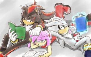 Rating: Safe Score: 0 Tags: 16:10 ai-shadamy amy_rose anthro black_body black_fur book distracting_watermark e621 eulipotyphlan female fur green_eyes group hedgehog holding_book holding_object male mammal pink_body pink_fur reading red_eyes sega shadow_the_hedgehog silver_the_hedgehog simple_background sonic_the_hedgehog_(series) watermark widescreen yellow_eyes User: bunchy7s