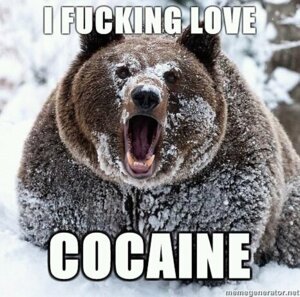 Rating: Safe Score: 0 Tags: ambiguous_gender bear e621 english_text fangs feral grandfathered_content humor icon image_macro impact_(font) lol_comments looking_at_viewer low_res mammal meme outside profanity real shitpost snow solo teeth text unknown_artist User: bunchy7s Rating: Safe Score: 0 Tags: ambiguous_gender bear e621 english_text fangs feral grandfathered_content humor icon image_macro impact_(font) lol_comments looking_at_viewer low_res mammal meme outside profanity real shitpost snow solo teeth text unknown_artist User: bunchy7s