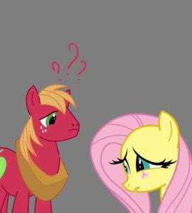 Rating: Safe Score: 0 Tags: alpha_channel big_macintosh_(mlp) blush cutie_mark duo e621 earth_pony equid equine female feral fluttershy_(mlp) friendship_is_magic hasbro hi_res horse male mammal miketheuser my_little_pony pony question_mark simple_background transparent_background User: bunchy7s