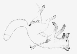 Rating: Explicit Score: 0 Tags: abracon anus arrow_(weapon) arrowed balls blood bodily_fluids canid canine death death_piss e621 erection eyes_closed falling feral fluffy fluffy_tail fox fur genital_fluids genitals gloves_(marking) gore_focus greyscale hunting killing leg_markings lying male mammal markings monochrome nude on_back open_mouth paws peeing penis quadruped ranged_weapon simple_background sketch snuff socks_(marking) solo tail urine weapon white_background User: bunchy7s Rating: Explicit Score: 0 Tags: abracon anus arrow_(weapon) arrowed balls blood bodily_fluids canid canine death death_piss e621 erection eyes_closed falling feral fluffy fluffy_tail fox fur genital_fluids genitals gloves_(marking) gore_focus greyscale hunting killing leg_markings lying male mammal markings monochrome nude on_back open_mouth paws peeing penis quadruped ranged_weapon simple_background sketch snuff socks_(marking) solo tail urine weapon white_background User: bunchy7s