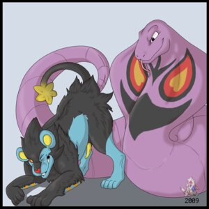 Rating: Explicit Score: 0 Tags: 1:1 2009 arbok black_border border duo e621 erection felid feral generation_1_pokemon generation_4_pokemon genitals luxray male mammal nintendo nude one_eye_closed penetration penis pokemon pokemon_(species) reptile scalie sex snake snake_hood tail tail_fetish tail_play tail_sex tongue tongue_out tyranitar_(artist) yellow_penis User: bunchy7s